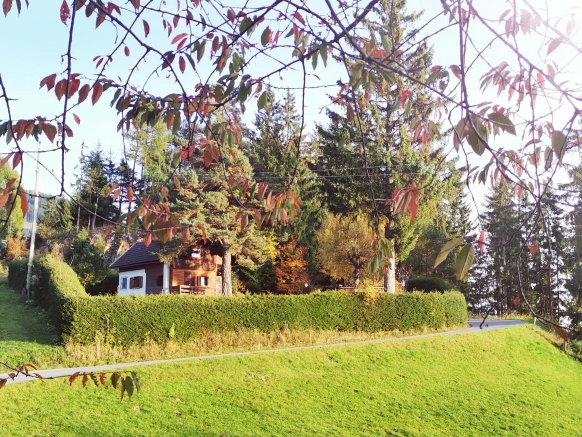 Апартаменты Waldheimat Fresach Экстерьер фото