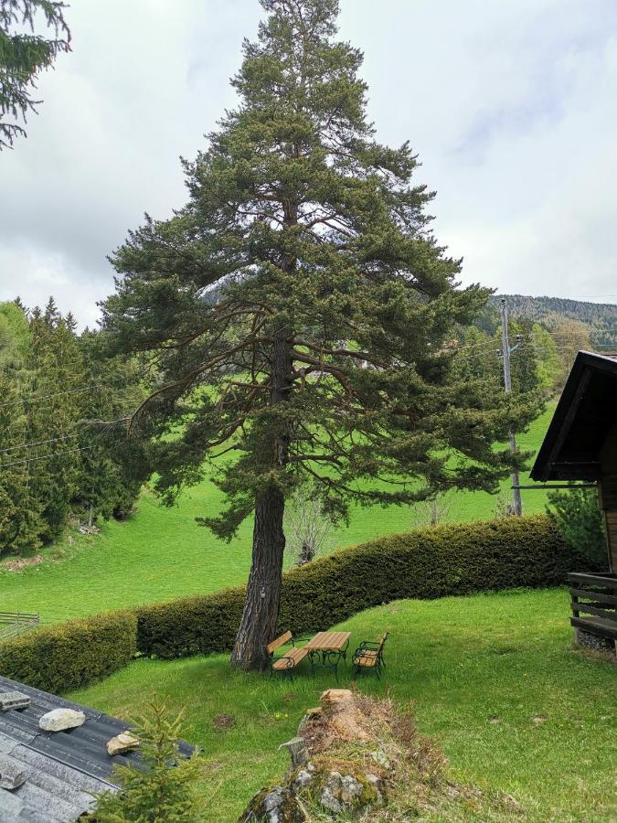 Апартаменты Waldheimat Fresach Экстерьер фото